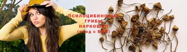 герыч Алексеевка