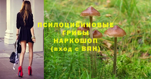 ешки Михайловск