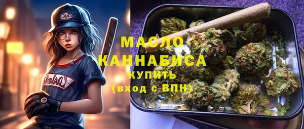 индика Михайлов