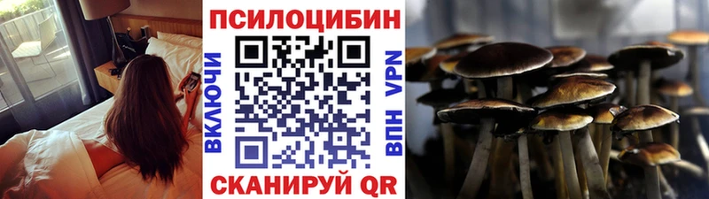 Псилоцибиновые грибы Cubensis  Анива 